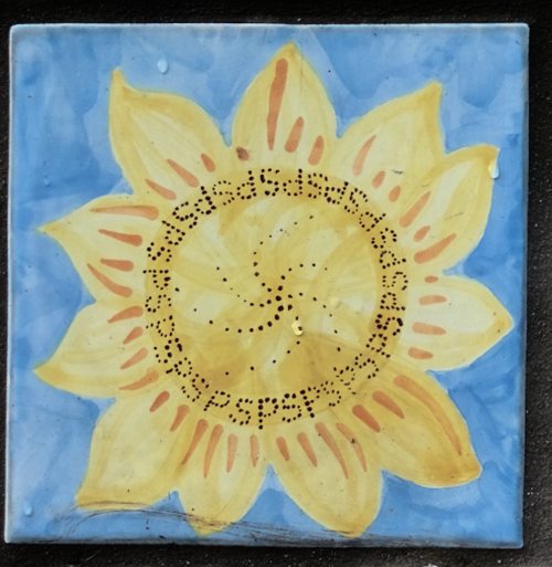 SPS Sun flower