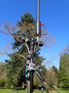 Buddipole as 20m vertical