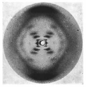 The x-ray diffraction pattern that proved DNA was a double-helix