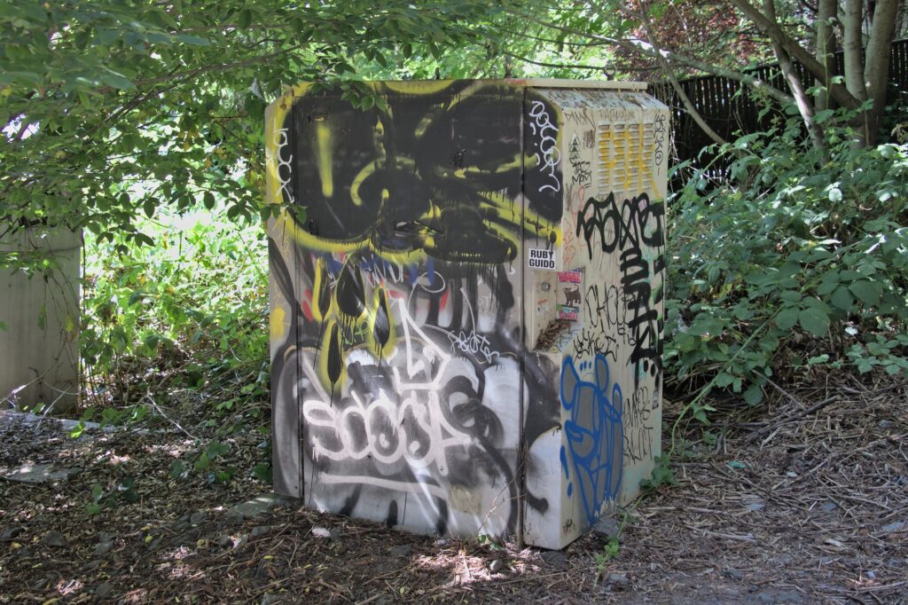 A heavily graffitied mechanical cabinet
