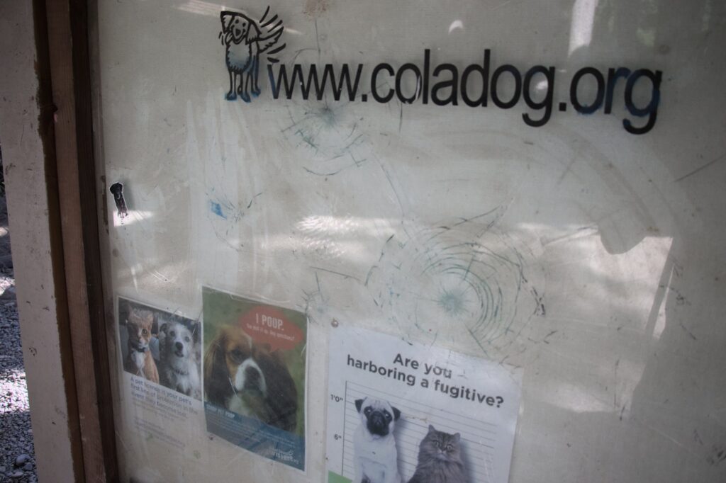 sign in pavilion that points to coladog.org and has some other dog related signs