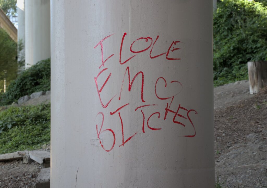 Graffiti on column that says "I love emo bitches" in red